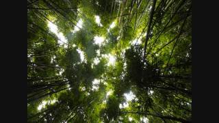 Universal Hall Pass - Dragonfly [HD]