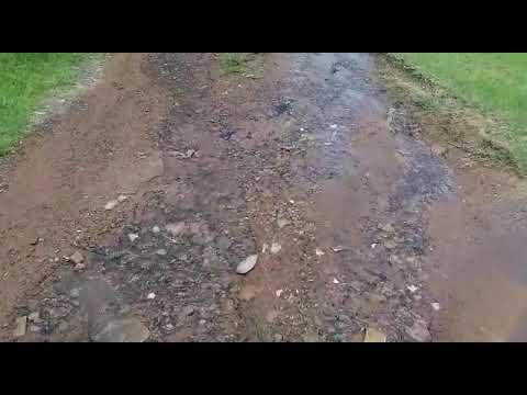 ’n pyplek al vir maande aan een al loop