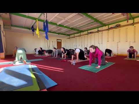 スポーツ学科 HATA Yoga by Yogi Kunal Chib