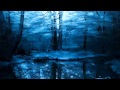 Eagles   I Can't Tell You Why w  lyrics]   YouTube