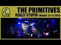 THE PRIMITIVES - Really Stupid [Live 22-11-2014 ...