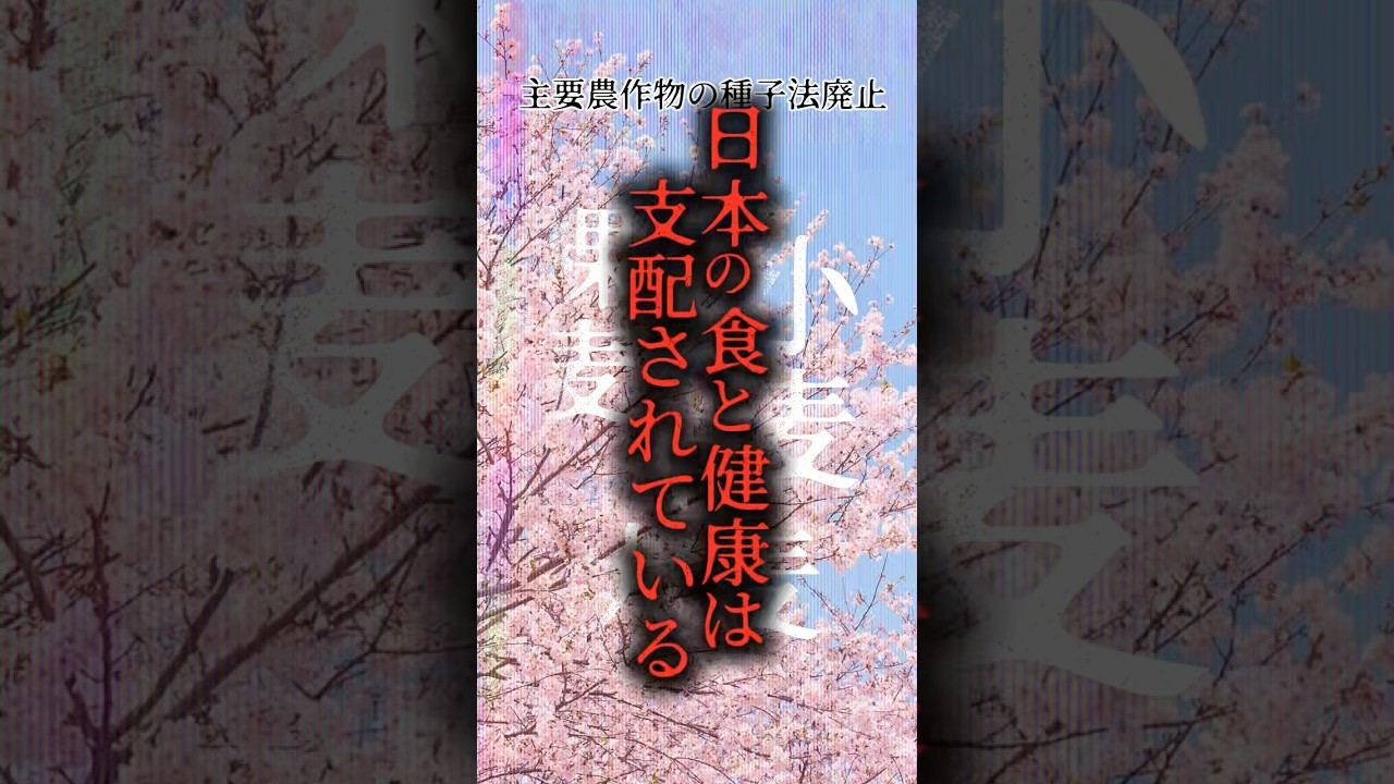 すべて奪われる