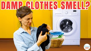 Why Do Damp Clothes Smell Bad?