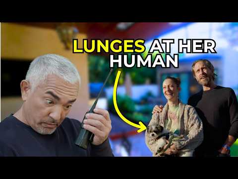 This Actress' Dog Hates Her Husband! | Better Human Better Dog