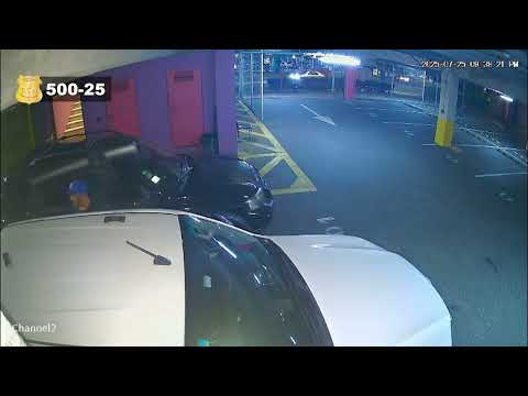 500. Sospechoso de Robo en Tibás, San José.