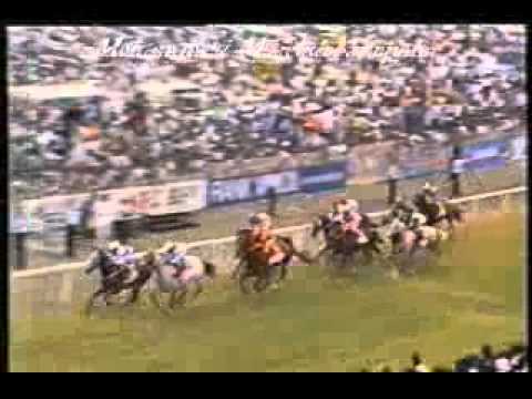 EVADER - MAIDEN CUP 1991 - MOHAMMAD MOORAD KEERPAH - FREE HORSE RACING TIPS