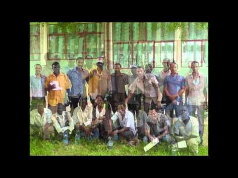 WDRP IMS In Pictures