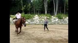 Équitation Domaine L&rsquo;Équi-Libre Video
