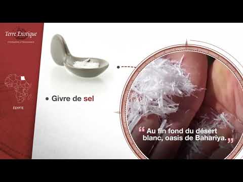 Vidéo YouTube