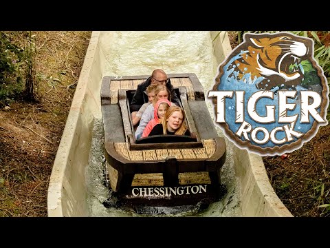 Tiger Rock [4K] 2022 Front Seat POV - Chessington World of Adventures