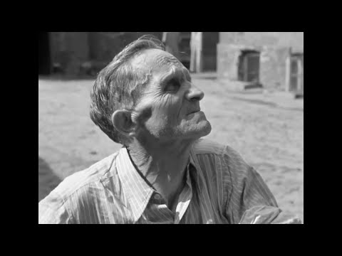 Z POWIŚLA. Warszawskie Powiśle jako mała ojczyzna