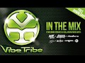 Vibe Tribe - In The Mix (Vol.1) 