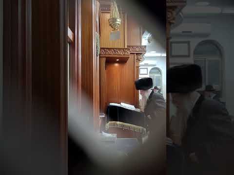 Kozmir Rebbe Sefiras Haomer 5782