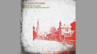 The Wave Pictures - This king business