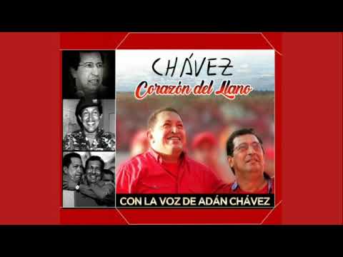 Te Traicionaron los Celos.