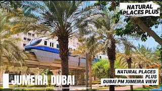 Pam Jumeirah Dubai: Luxury Living in 2025