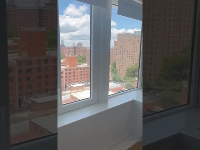 Preview image: Video 11