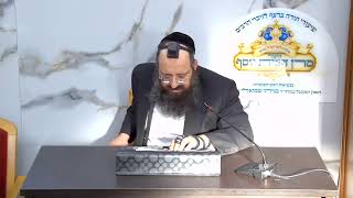 הרב דוד שמואלי שליט"א - רמב‘‘ם שבת פרק ב ג