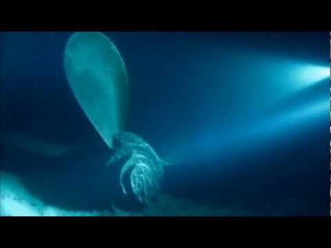 Wreck of the RMS Titanic: "Silence and Darkness"