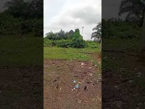 Half Plot of Table Land (30ft × 123ft) – Off Ijegun/Ijagemo Road, Lagos