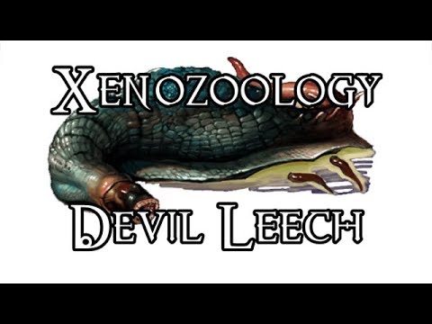 Xenozoology: Devil Leech - 40K Theories