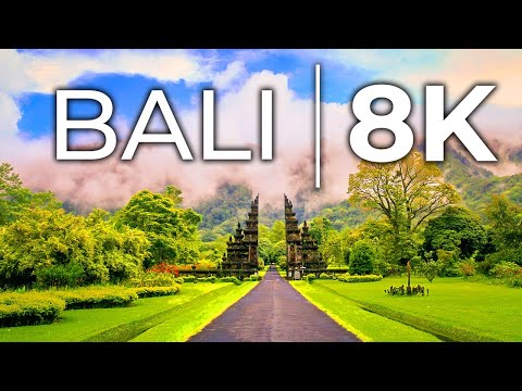 Bali in 8K ULTRA HD HDR Video Paradise Of ASIA - Naturey Dandelion