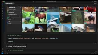 Dataset Management with FiftyOne