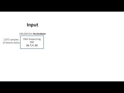 demo6 GeneticFarming