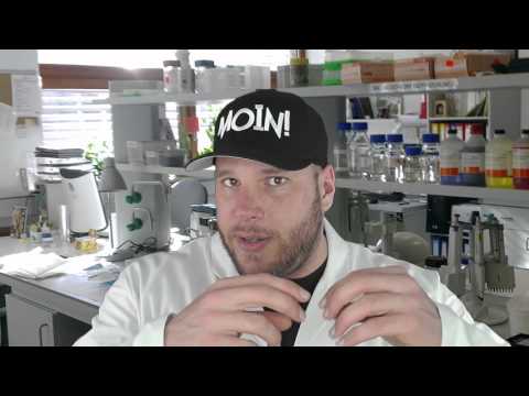 Gendoping machbar?! Was ist Myostatin?