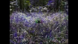 Klaus Schulze (Synphara).wmv