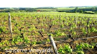 preview picture of video 'Wine Tour Loire Valley: Sancerre Vineyard at sunset and cheese'