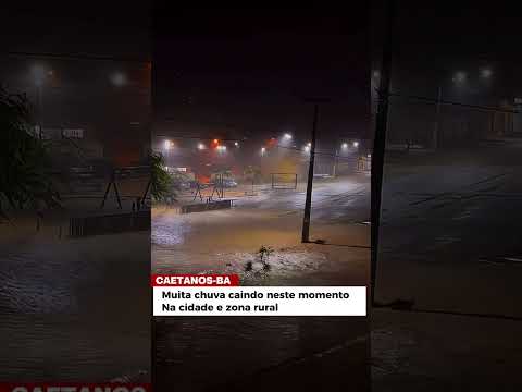 MUITO CHUVA EM CAETANOS BAHIA NESSE MOMENTO ⛈⛈ #roça #chuva