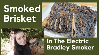 SMOKED BRISKET IN THE ELECTRIC BRADLEY SMOKER | How To Make Smoked Brisket | Brisket Rub Recipe