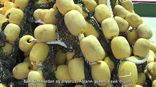 Çeşit Mensucat | Usta Hikayeleri 2