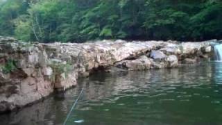 preview picture of video 'Trout Fishing in W.Va. ?  Can u guess where?'