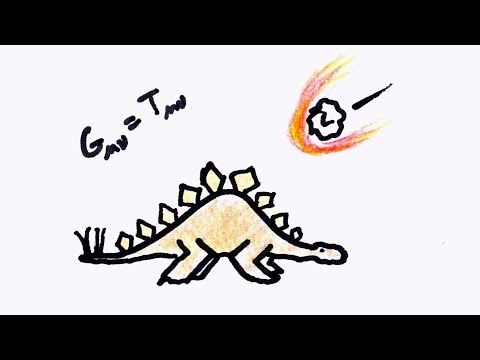 Evolution vs Natural Selection