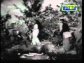 Thullioodum Tamil Romantic Song Periya Idathu Penn MGR Saroja Devi
