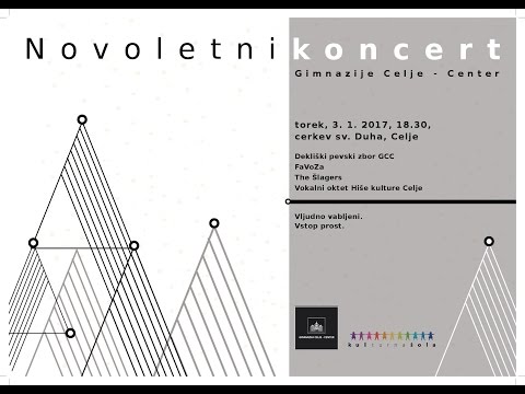 Novoletni koncert 2017
