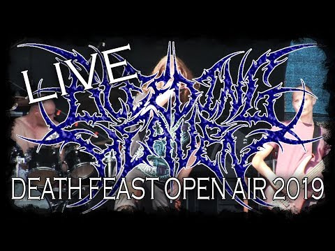 Bleeding Heaven LIVE @ Death Feast Open Air 2019 - Dani Zed Reviews