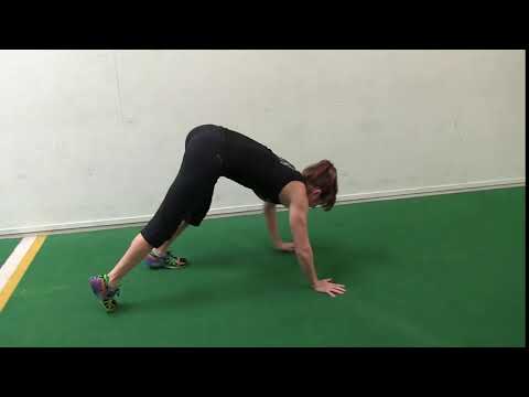 BI 17   Traditional bear walk