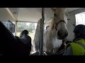 Trailer Loading TAKE 3