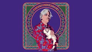 Robyn Hitchcock - “I Want To Tell You About What I Want” (Official Audio)