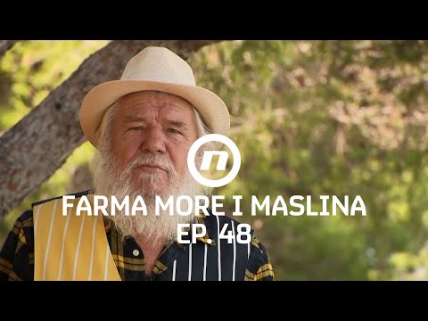 Jure neugodno iznenađen - Epizoda 48 | Farma More i Maslina
