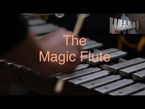 Excerpt from The Magic Flute .Glockenspiel. 오케스트라 타악기 글로켄슈필 벨 연주