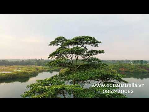 Thể hiện bởi Đàm Vĩnh Hưng