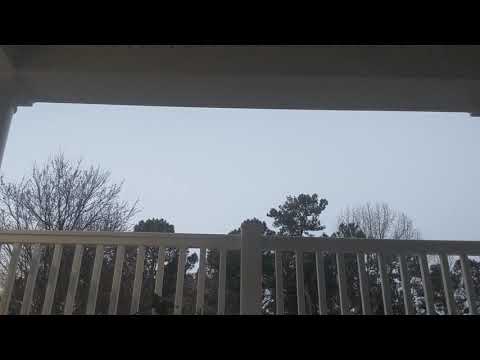 Morning BirdSong ~ Sunday, March 14, 2021 (Daylight Saving Time, 7:27-ish to 7:37)