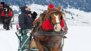 Ray Conniff - Jingle Bells (HD) (CC)