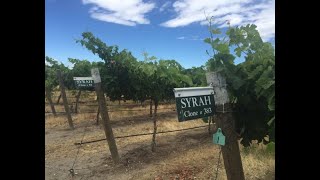 Download lagu Syrah in the Spotlight mp3 Download lagu Syrah in the Spotlight mp3