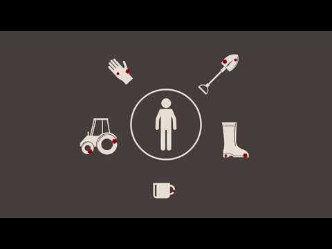 Чума по свинете