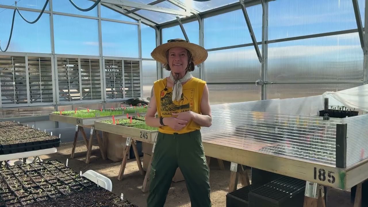 Growing Gardens Greenhouse Interview